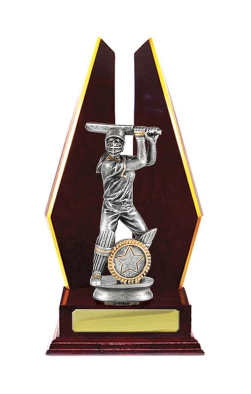 Cricket Female Trophy 305mm