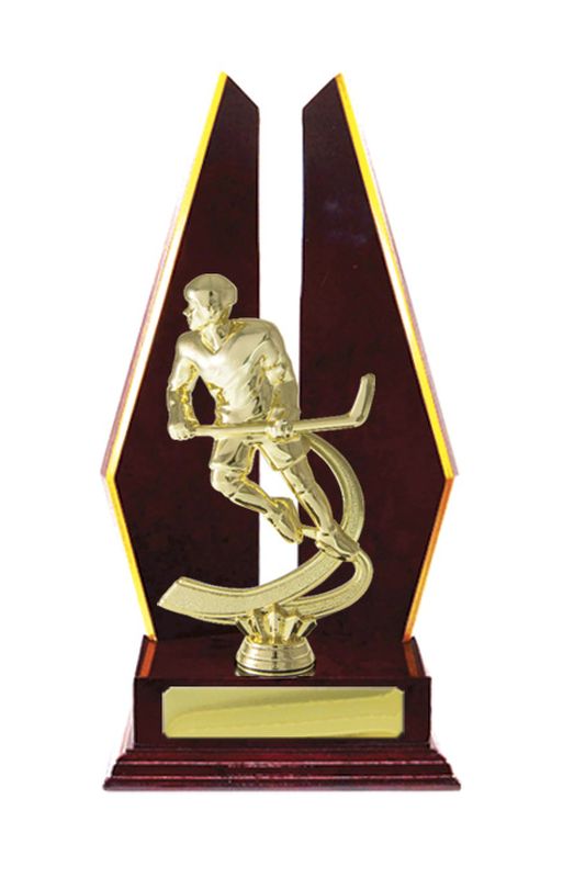 Ice Hockey Trophy 305mm