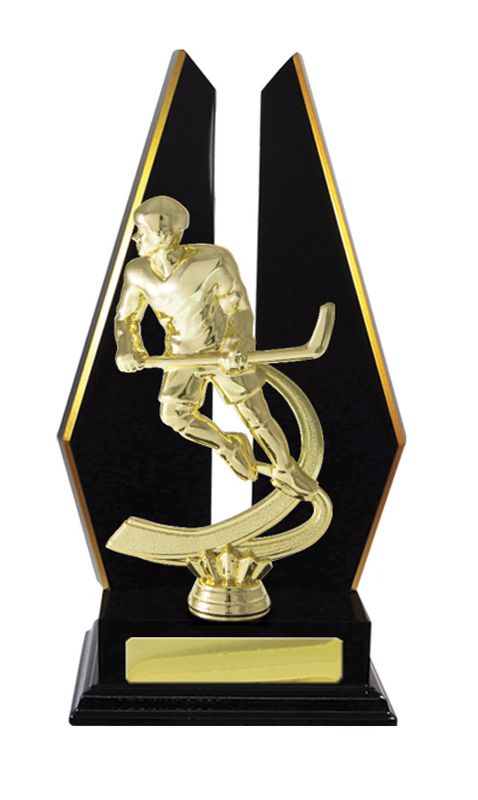 Ice Hockey Trophy 305mm