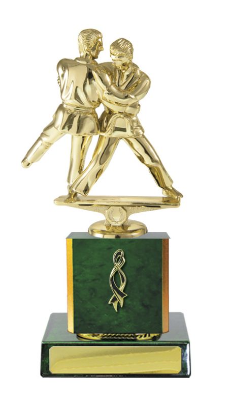 Martial Arts Trophy 195mm
