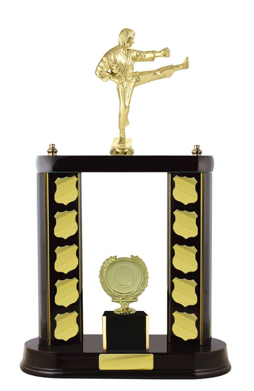 Martial Arts Trophy 520mm
