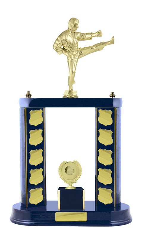 Martial Arts Trophy 520mm