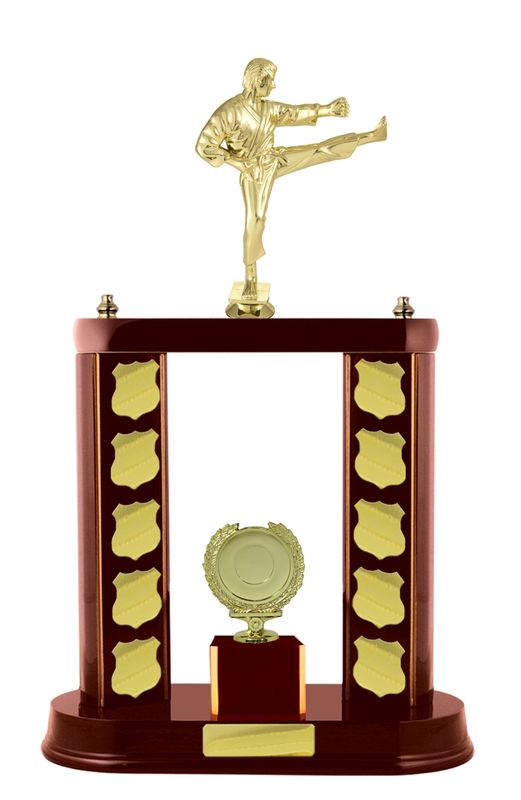 Martial Arts Trophy 520mm