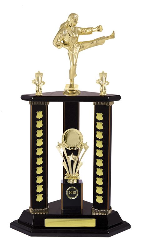 Martial Arts Perpetual Trophy 640mm
