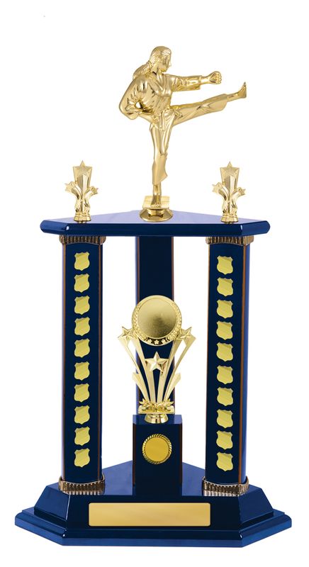 Martial Arts Perpetual Trophy 640mm