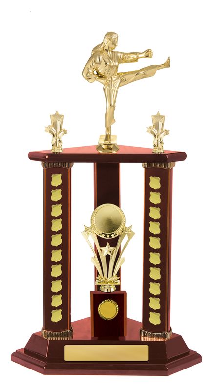 Martial Arts Perpetual Trophy 640mm
