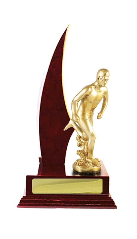 Lifesaving Trophy 270mm
