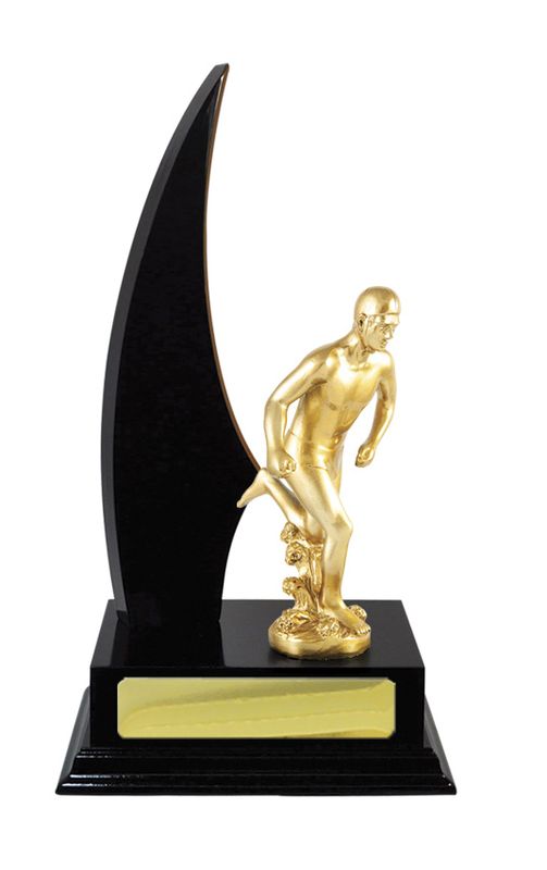 Lifesaving Trophy 270mm