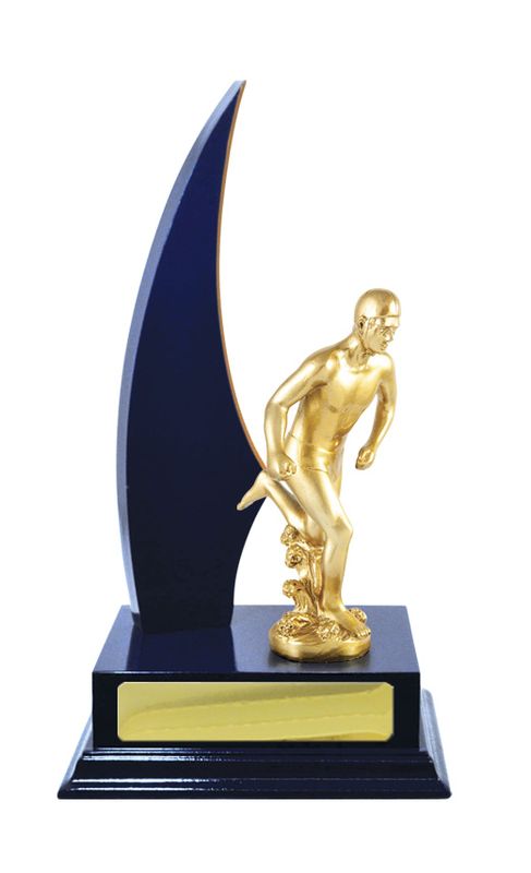 Lifesaving Trophy 270mm