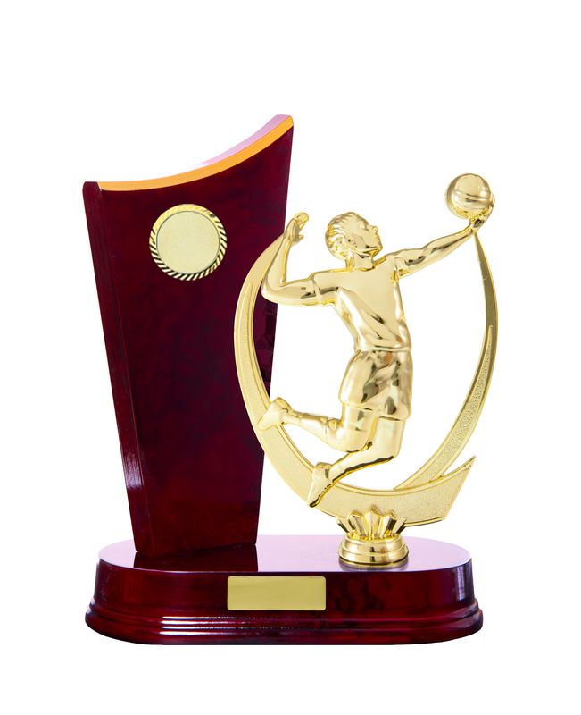 Volleyball Trophy 230mm
