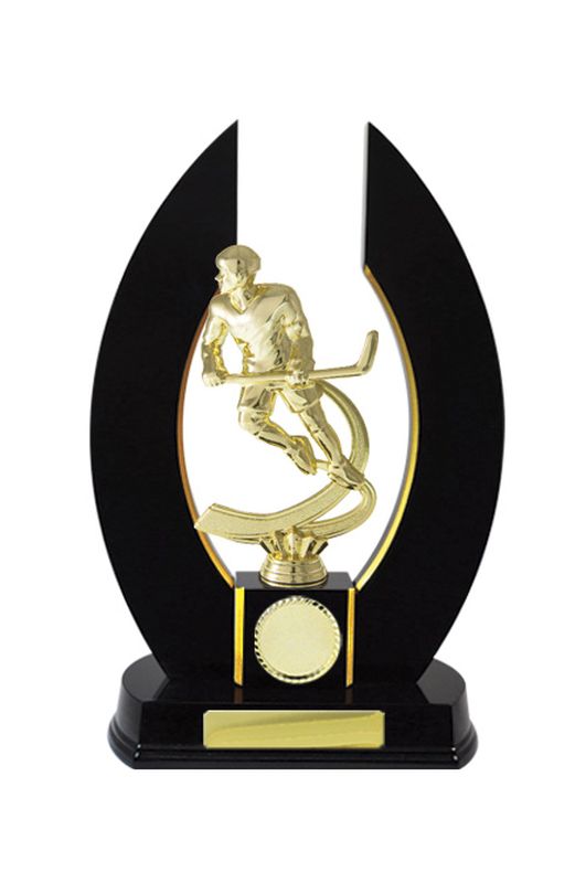 Ice Hockey Trophy 320mm