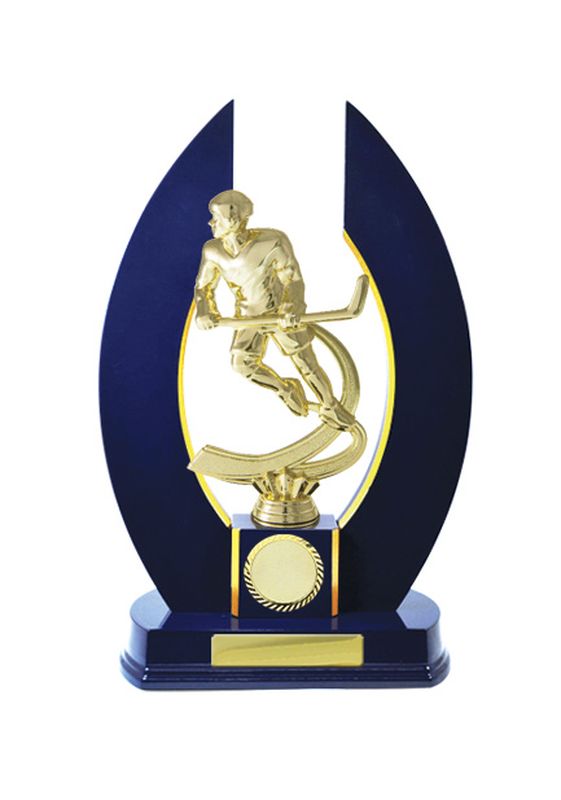 Ice Hockey Trophy 320mm
