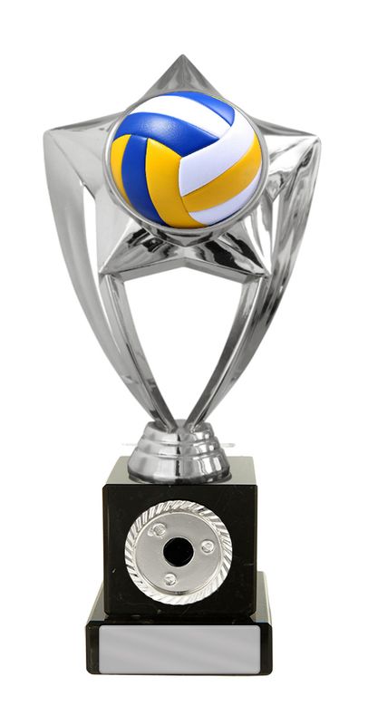 Plastic Volleyball Theme on Base Trophy 170mm