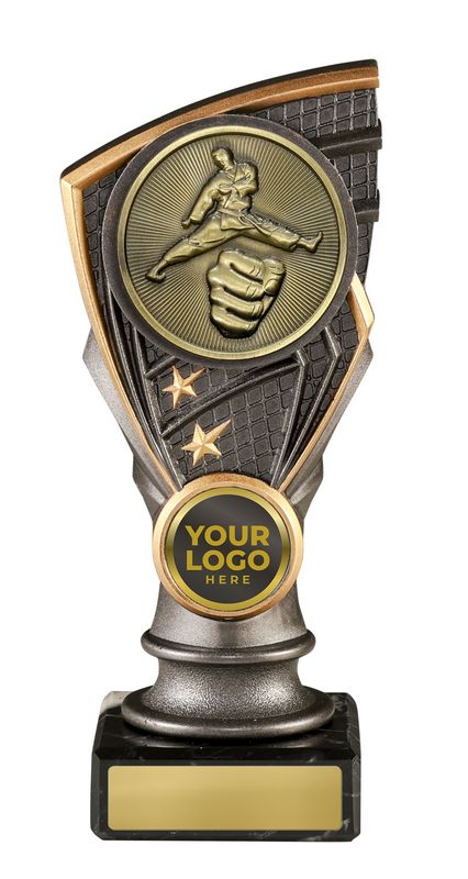 Martial Arts Trophy 160mm