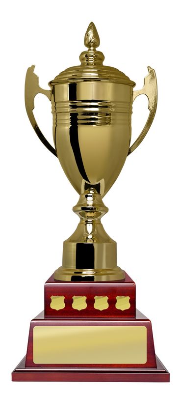 All Sports Perpetual Trophy 550mm