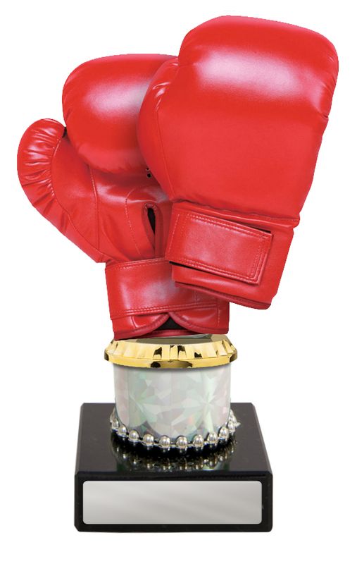Boxing Figure on Column Trophy 175mm