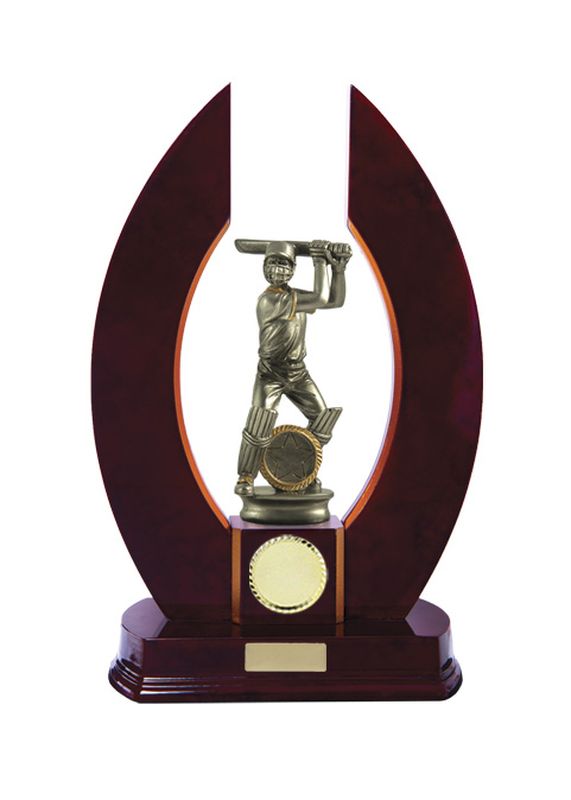 Cricket Timber Trophy 320mm
