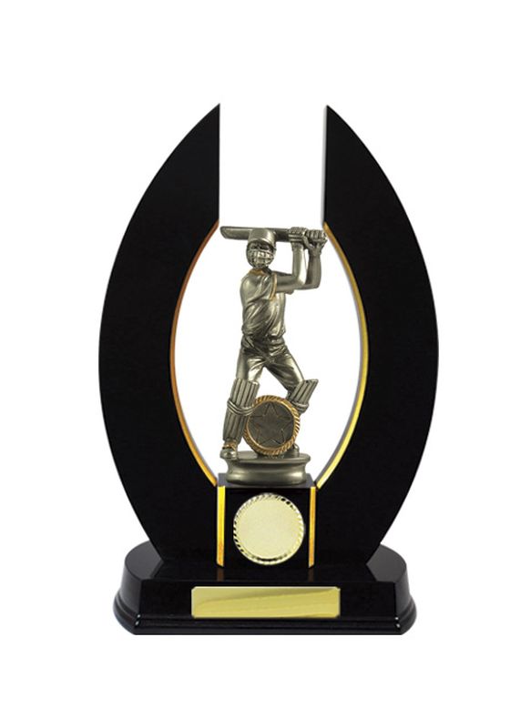 Cricket Timber Trophy 320mm