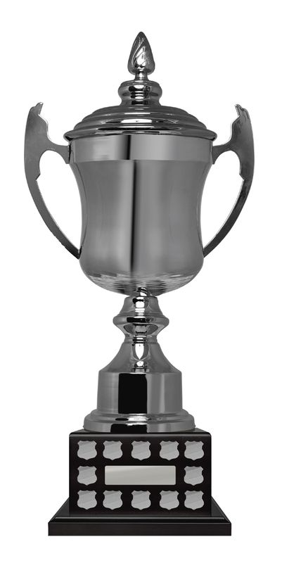 All Sports Perpetual Trophy 650mm