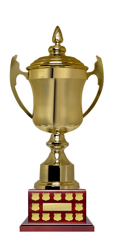 All Sports Perpetual Trophy 650mm